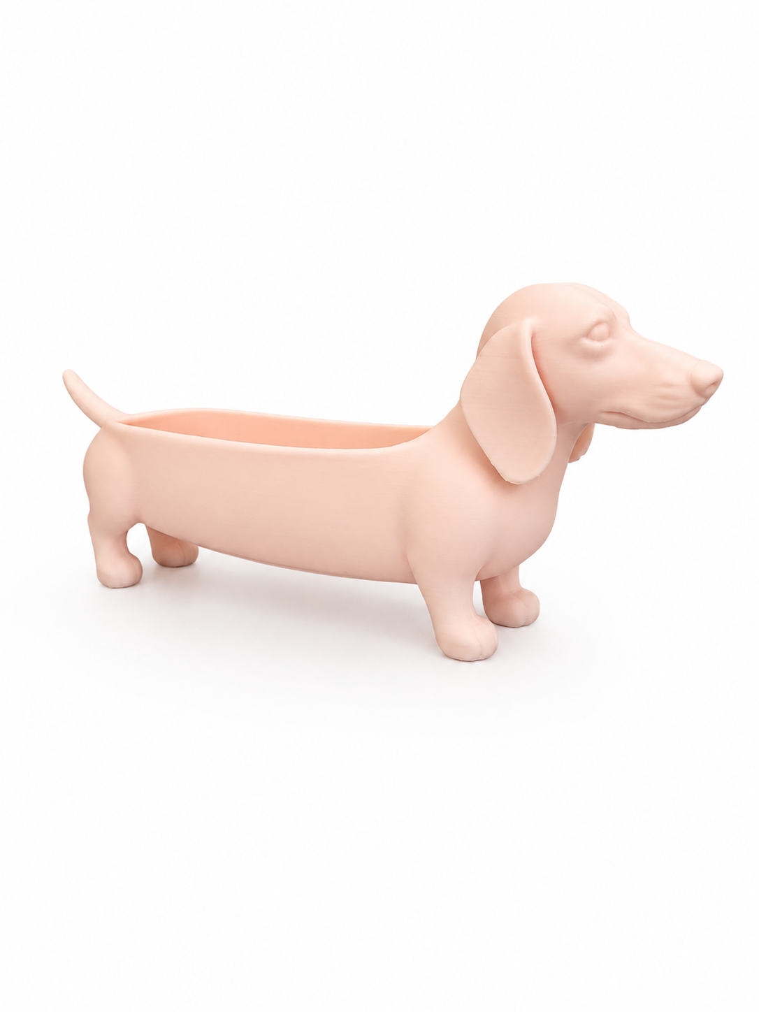 Sevimli Sosis Köpek 3D Dekoratif Şekerlik 2